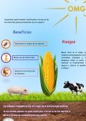 infografia