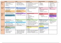 COLOR CODED Respiratory Conditions Chart - Gorg, yet simple