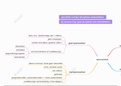 mindmap van het spierweefsel