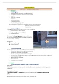 Samenvatting constructie ruwbouw (compleet) 