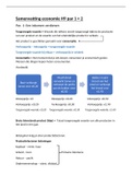 Samenvatting economie H9 par. 1+2 | Praktische Economie | 3HAVO