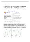 Natuurkunde trillingen 4/5 havo