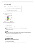 CMCE-model samenvatting