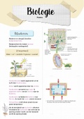 samenvatting biologie hoofdstuk 1 planten