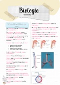 samenvatting biologie hoofdstuk 5 gaswisseling