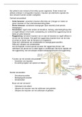 samenvatting biologie voor jou , boek 3b vmbo gt/tl