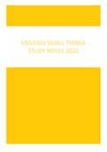 ENG1501 SMALL THINGS NOVEL NOTES 2022