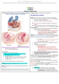 NURSING 306 OB Exam 2 Study Guide OB Hartman GOLD, A+ Guide - West Coast University.