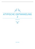 Summary  Atypische Ontwikkeling 2