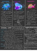 Zoology Phylum Molusca Summary