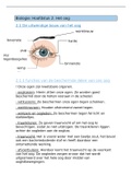 Biologie samenvatting het oog