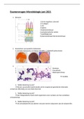 Voorbeeldvragen microbiologie 