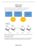 The molecular mechanisms of Catabolic processes