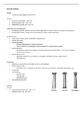 Samenvatting kunstgeschiedenis Grieken en Romeinen