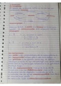 Samenvatting Newton 4 VWO,  Natuurkunde hoofdstuk 3 materialen