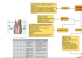 Procedimiento de instalación de venoclisis