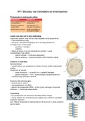 samenvatting HT1: Structuur van chromatine en chromosomen. Biogenie 5.2/6.2