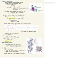 Basic understanding of proteins in biochemistry