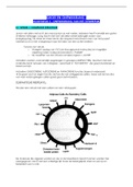 Samenvatting  Groei En Ontwikkeling H5 (L04J1A)(21-22)