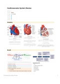 Cardiovascular System Review