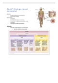 Bundel neuro anatomie en neuro fysiologie