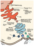 biology: protein synthesis (ribosome, mRNA, Golgi body, vesicle)