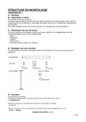 SAMENVATTING + OPGELOSTE OEFENINGEN STRUCTUUR EN MORFOLOGIE