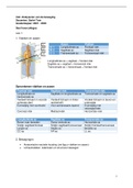 Analyseren van de beweging: Ergotherapie