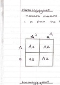 notes for Unit 3-Anatomy and Physiology 