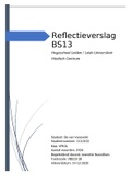 Reflectieverslag BS 13 cijfer 8,4!