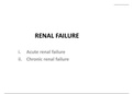 RENAL FAILURE