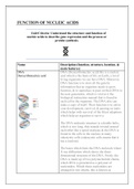 Unit 11 A1 Learning aim A: Understand the structure and function of nucleic acids in order to describe gene expression and the process of protein synthesis