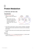 Lecture notes HUB2019F - Protein Metabolism