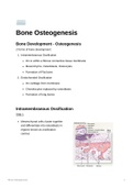 Lecture notes HUB2019F - Bone Osteogenesis