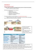 Lecture notes HUB2019F - Introduction to Endocrinology