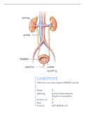 Minor ACZ Casestudy (met BPV)