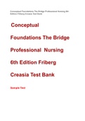 Conceptual Foundations The Bridge Professional Nursing 6th Edition Friberg Creasia Test Bank 