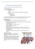 Samenvatting Echografie OP1.4 (jaar 1 periode 4)