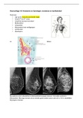  Anatomie en fysiologie: mammae en lymfestelse