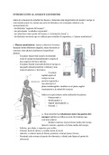 Este archivo es un esquema-resumen del aparato locomotor 