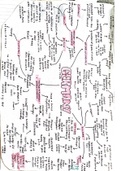 GRADE 9 GCSE HISTORY AQA GERMANY NOTES