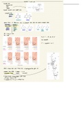 Nucleotides & Nucleic Acids