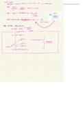 Understanding the Krebs Cycle