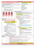 ATI MATERNAL NEWBORN PROCTORED 2019 EXAM REVIEW 