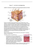 casus 11 huid en wondgenezing