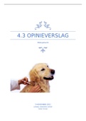 blokopdracht 4.3 opinieverslag