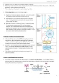 Biochemistry - TCA Cycle