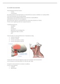 Samenvatting  Mondzorgkunde Tandanatomie Hoorcollege 2 (MZK-TA-AN) HAN Bachelor 1/ Propedeuse Collegejaar 2021-2022