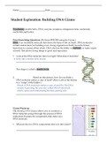 AP BIOLOGY Student Exploration: Building DNA Gizmo 