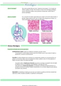 Histología desde cero: Técnicas histológicas y tinciones comunes